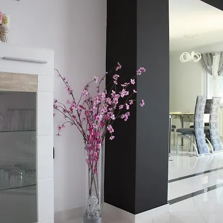 Lux 别墅 里耶卡